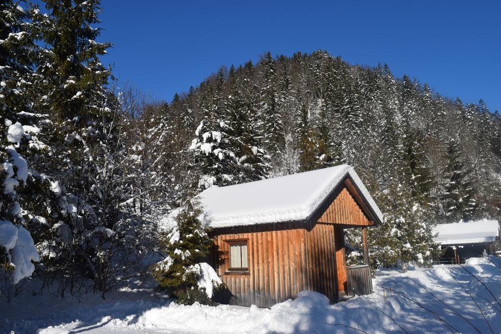 Camping Und Chalet Saggraben Palfau Kültér fotó