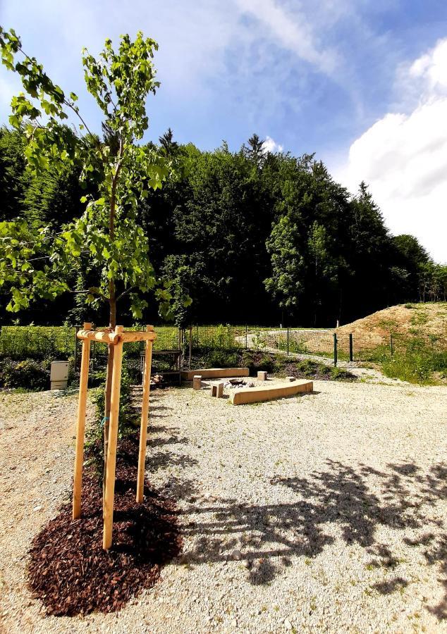 Camping Und Chalet Saggraben Palfau Kültér fotó